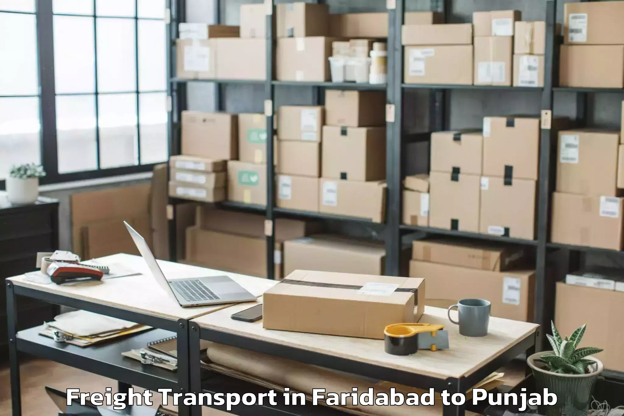 Comprehensive Faridabad to Ludhiana Airport Luh Freight Transport